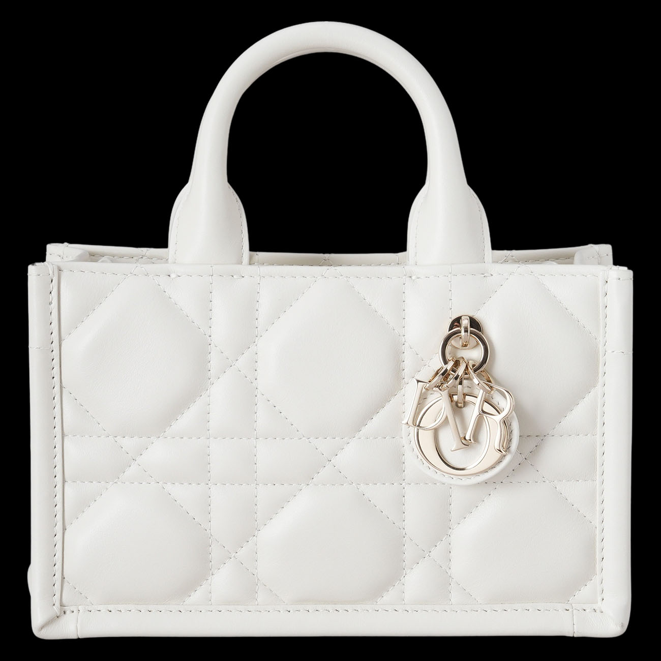 CHRISTIAN DIOR(USED)디올 북토트 미니 백